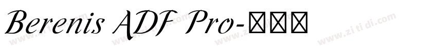 Berenis ADF Pro字体转换